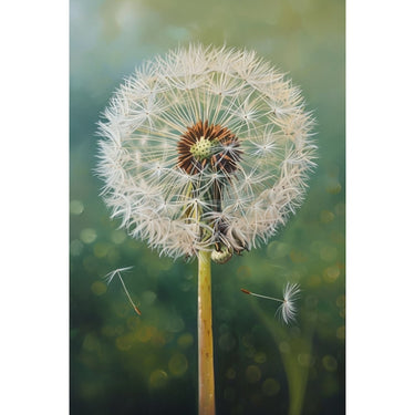 White Flower Painting Print